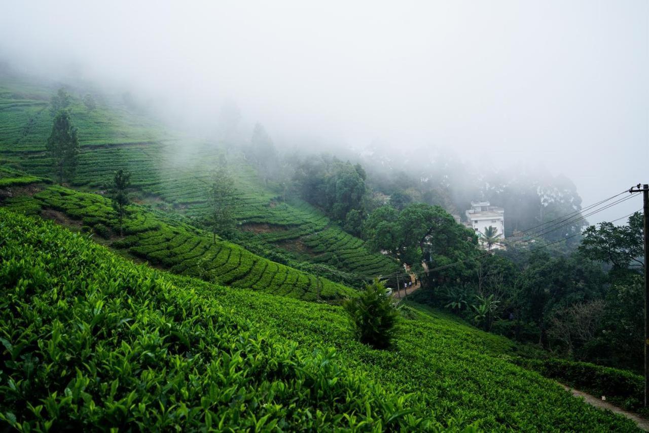 Lime Light Resort Munnar Dış mekan fotoğraf